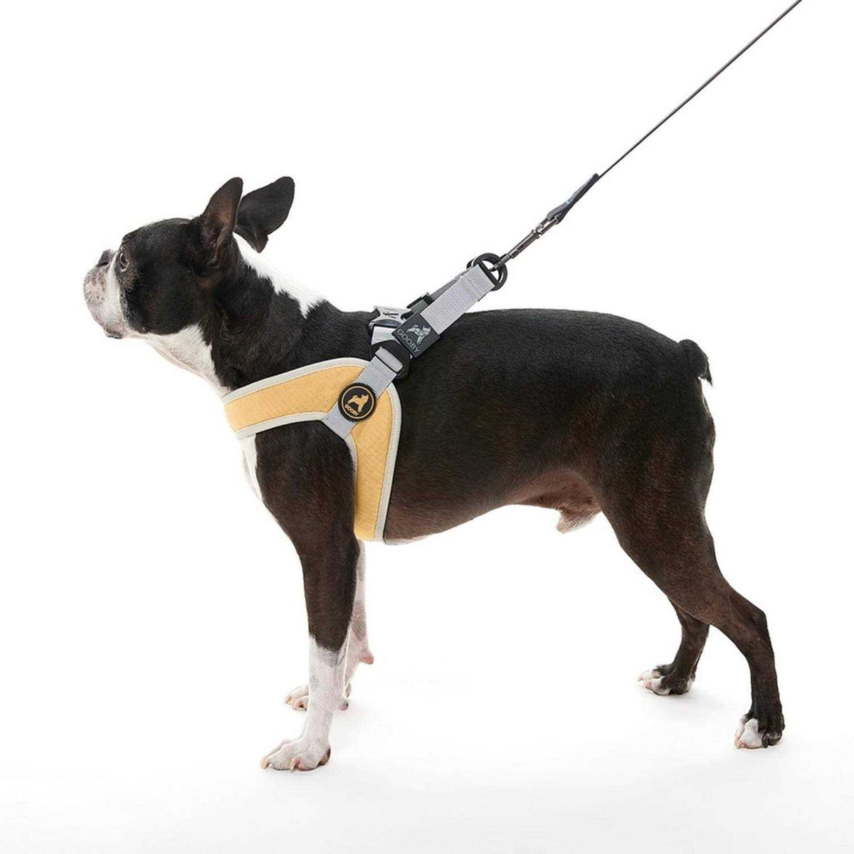 Step-In Dog Harness H780