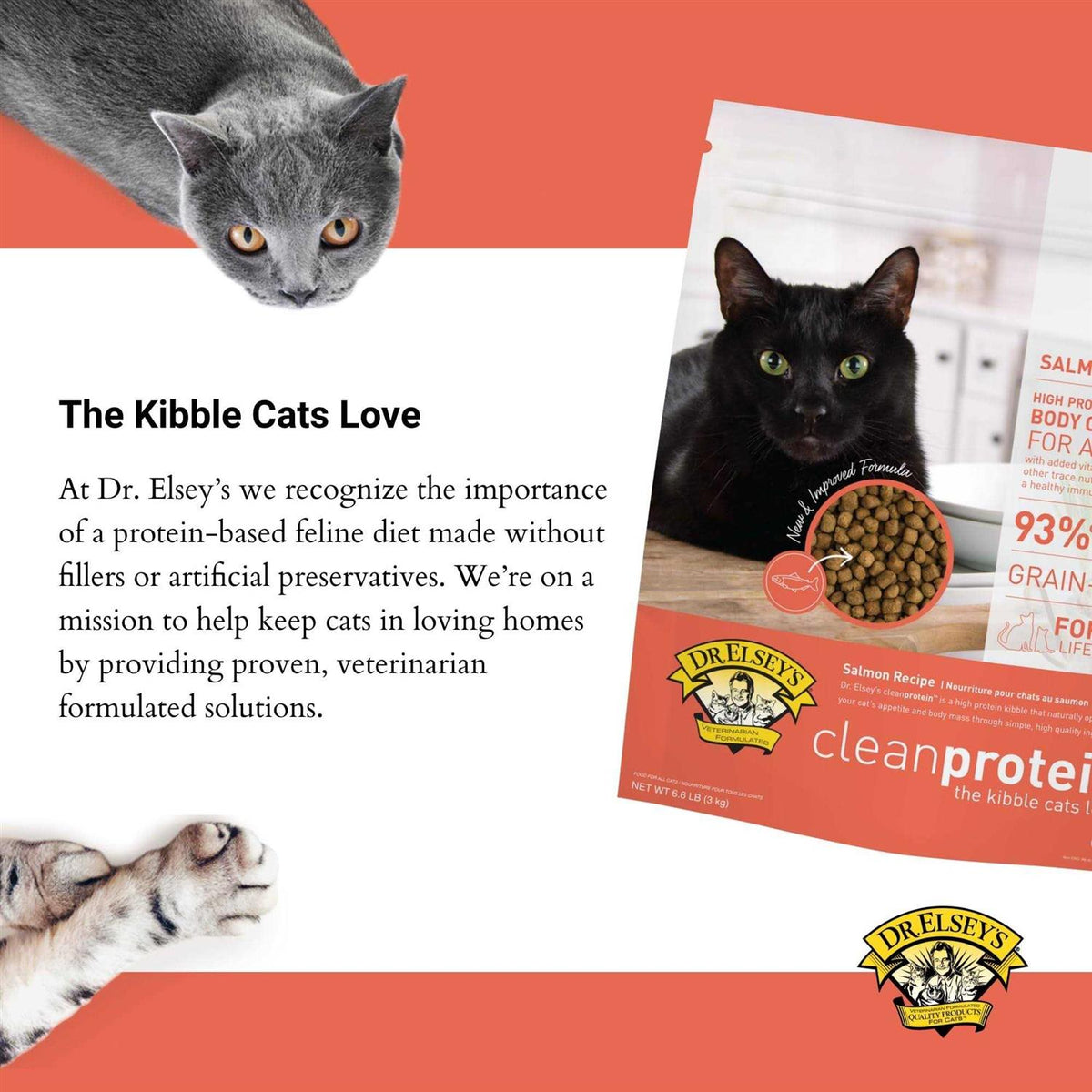 Salmon Dry Cat Food X8976