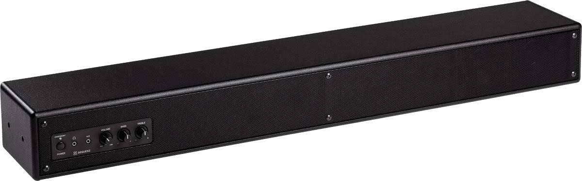 Stereo Keyboard Amplifier and Monitor Speaker E310